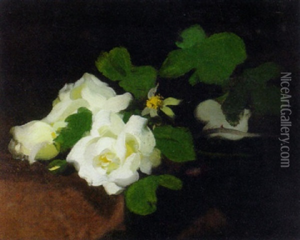 Still Life With White Roses Oil Painting - Stuart James Park