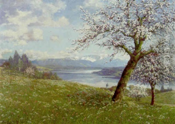 Starnberger See Bei Tutzing Im Fruhling Oil Painting - Philipp Graf