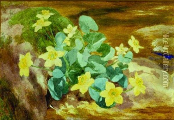 Bed Of Flowers Oil Painting - John Henry Hill