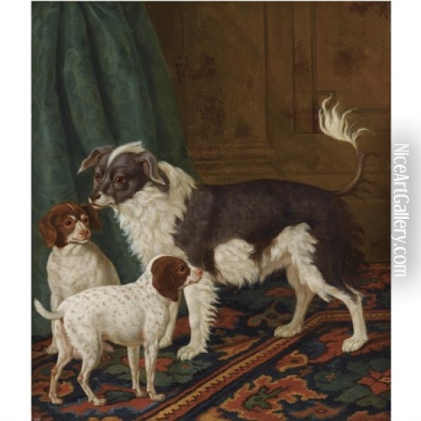 A Longhaired Black-and-white Dog With Bushy Tail And Two Brown Spotted White Puppies In An Interior Oil Painting - Tethart Philip Christian Haag