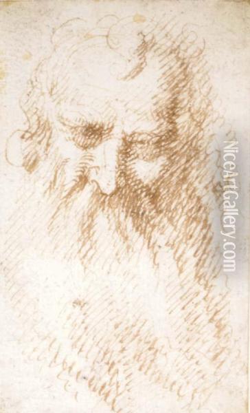 Head Of A Bearded Man Oil Painting - Aurelio Luini