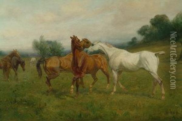 Spring Fever, Equestrian Study 
Of Grey, Chestnut And Bay Stallions And Other Horses In A Meadow Oil Painting - George Wright