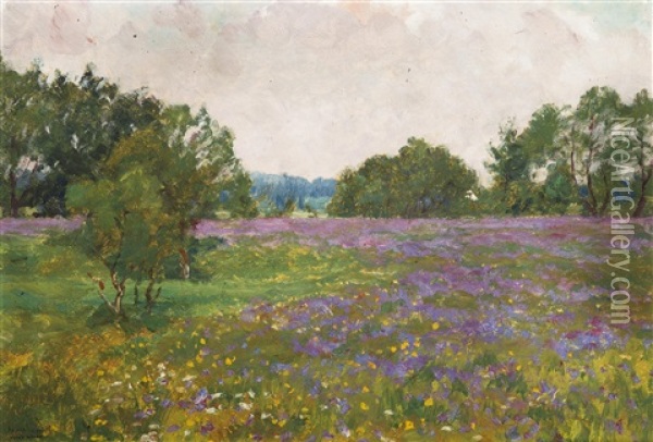 On A Blossoming Meadow Oil Painting - Frantisek Kavan