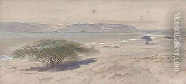 On the shores of the Mediterranean Oil Painting - Edward Lear