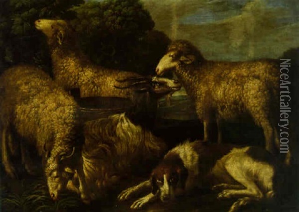 Sheep By A Goat And A Dog Oil Painting - Wenceslaus (Wenzel) Peter