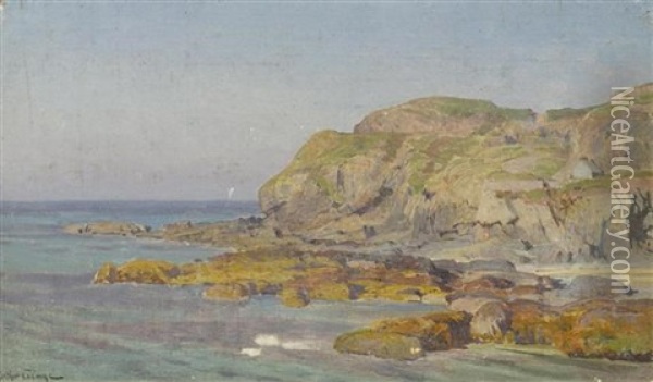 Bretonische Kustenlandschaft Oil Painting - Jean-Baptiste-Arthur Calame
