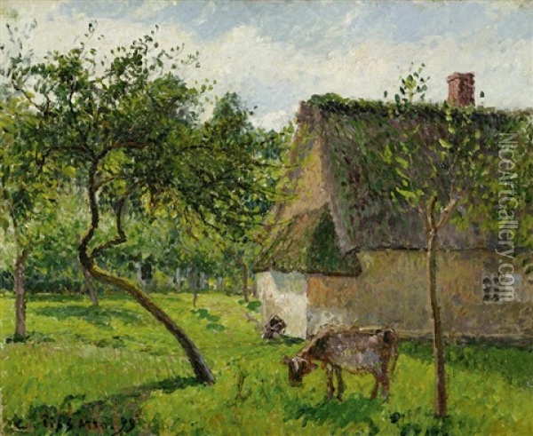 Verger A Varengeville Avec Vache Oil Painting - Camille Pissarro