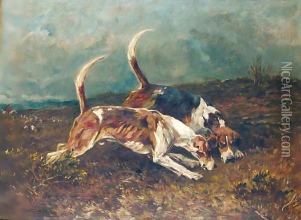 Fox Hounds On The Scent Oil Painting - John Emms