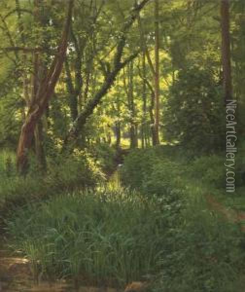 A Woodland Stream Oil Painting - Henri Biva