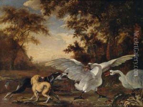 Due Cani Da Caccia Abbaiano A Due Cigni In Un Paesaggio Boschivo Oil Painting - Abraham Hondius
