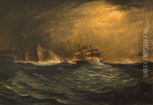 A South Easter Off The Cape Oil Painting - John Thomas Baines