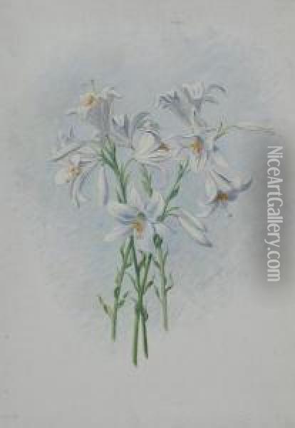 Lilien Oil Painting - Ernst Theodor Zuppinger