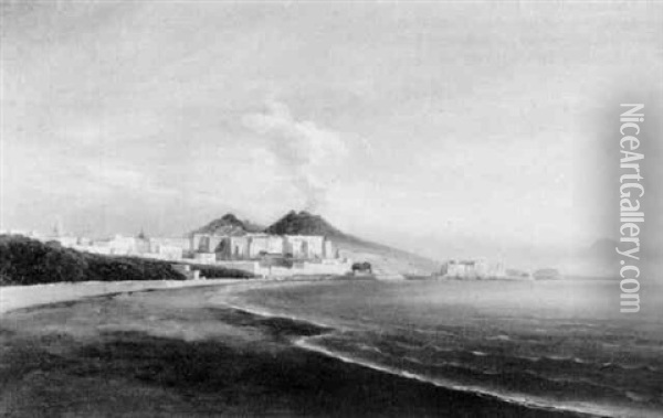 Blick Auf Die Bucht Von Neapel Und Den Vesuv Oil Painting - Gustav Von Haugk