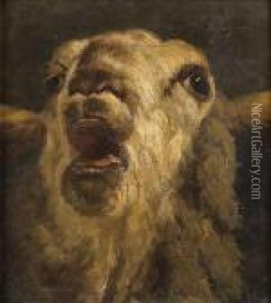 Mouton Oil Painting - Charles Emile Jacque