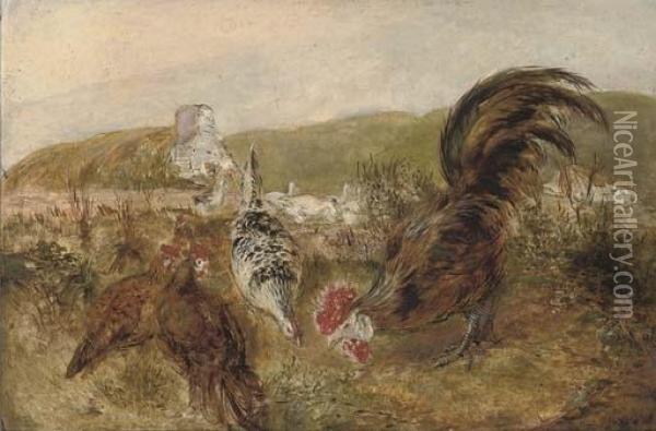 Pecking Order Oil Painting - William Huggins