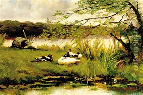 Duck On Shore Oil Painting - Franciscus Willem Helfferich
