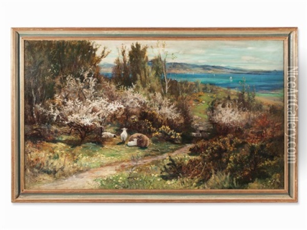 Sheep In Coastal Scenery Oil Painting - Joseph Denovan Adam
