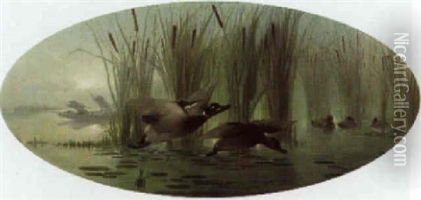 Duck Shooting Oil Painting - Auguste Joseph Delessard