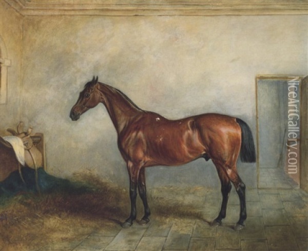 Lady Middleton's Benedict In A Stable Oil Painting - John E. Ferneley