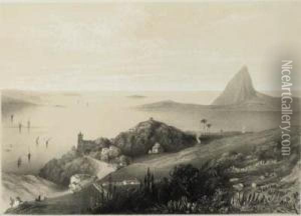Panoramic Views Of Rio De Janeiro Oil Painting - John Le Capelain