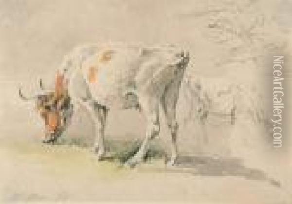 Zwei Weidende Kuhe. Oil Painting - Georg Maximilian Johann Von Dillis