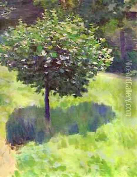 A Tree Study Oil Painting - Viktor Elpidiforovich Borisov-Musatov