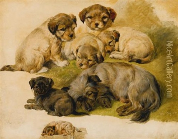 Study Of A Terrier And Puppies Oil Painting - Sir Edwin Henry Landseer