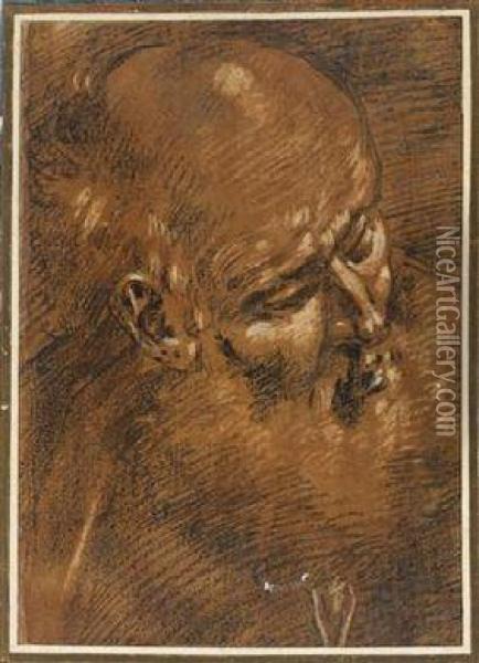 A Portrait Study Of A Bearded Man Oil Painting - Giacomo Cavedone