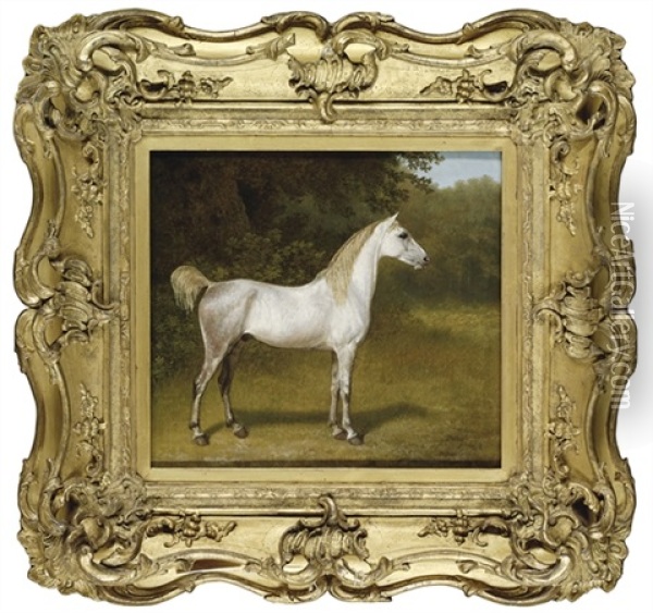 An Arab Stallion In A Landscape Oil Painting - Jacques-Laurent Agasse