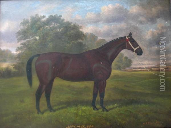 Lady Alice 2539, Bred By J. Ryder Oil Painting - William Albert Clark