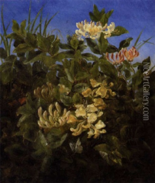 Blomstrende Kaprifolier Med Sommerfugl Oil Painting - Anthonie Eleonore (Anthonore) Christensen