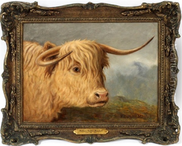 Highland Steer Oil Painting - William Elstob Marshall