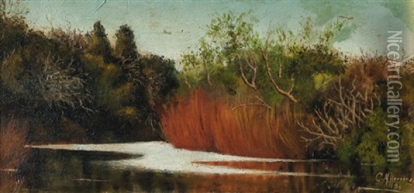 Arroyo Oil Painting - Carlos Maria Herrera