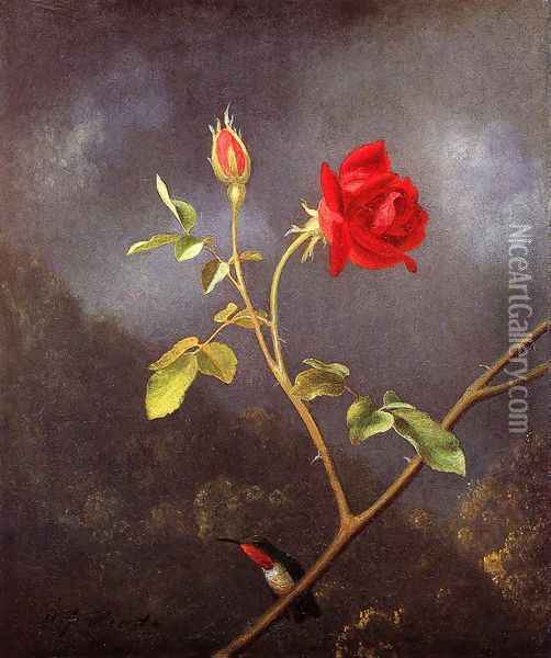Red Rose With Ruby Throat Oil Painting - Martin Johnson Heade