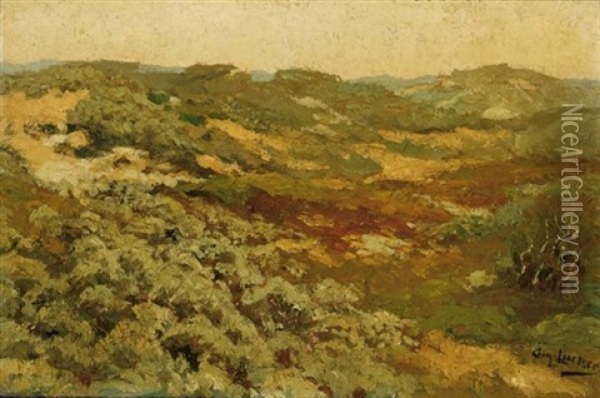A Dune Landscape Oil Painting - Eugene Joseph Frans Luecker