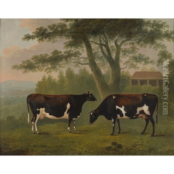 Study Of Two Cows Oil Painting - John Boultbee