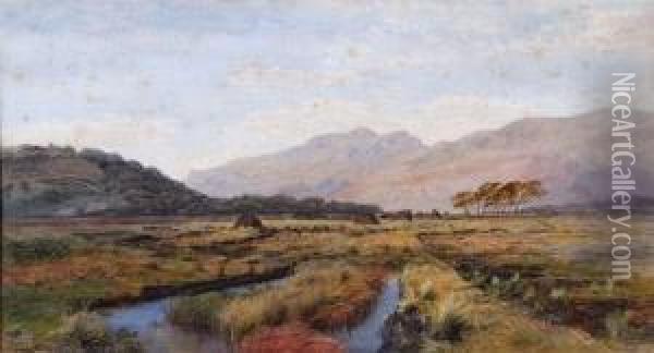 Marshes Before An Extensive Mountainous Landscape Oil Painting - Henry Albert Hartland