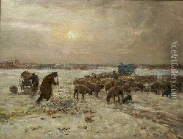 Farmers Cutting Turnip In Winter Landscape To Feed Sheep Oil Painting - Claude Hayes