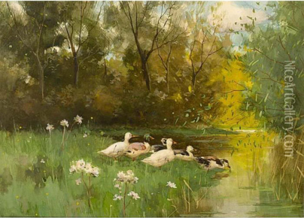 Ducks On The Riverbank Oil Painting - Geo Poggenbeek