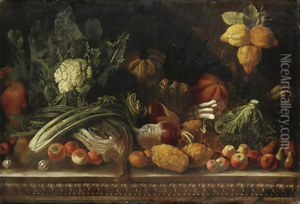 Natura Morta Con Cedri, Frutta, Rape E Zucche Oil Painting - Pietro Paolo Bonzi