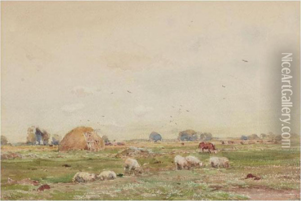 Landscape With Sheep Oil Painting - Claude Hayes