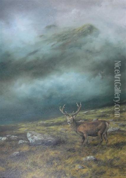 A Single Stag With A Peak Rising Above The Mist Oil Painting - Arthur John Black