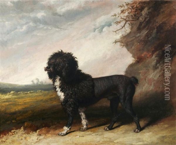 Poodle In A Landscape Oil Painting - Abraham Cooper