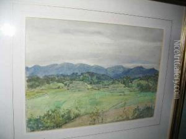 Rice Fields Near Matsue, Japan Oil Painting - Herbert Hughes Stanton