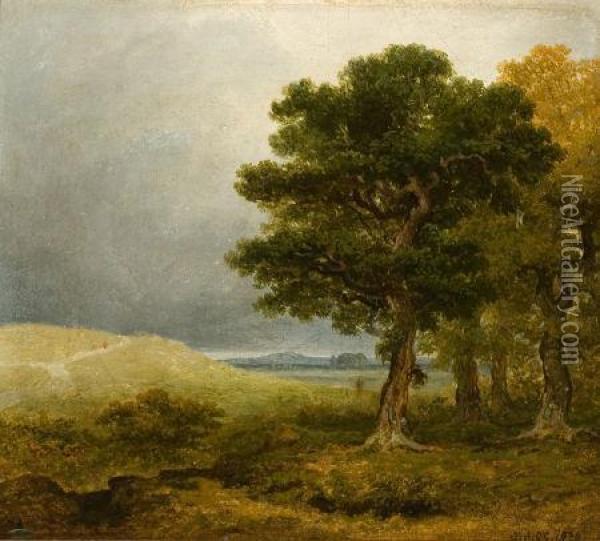 Landscape Oil Painting - James Arthur O'Connor