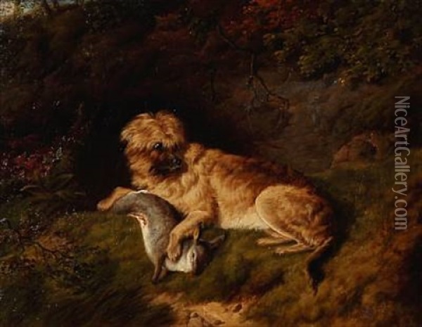 A Terrier With His Prey Oil Painting - Charles Jones