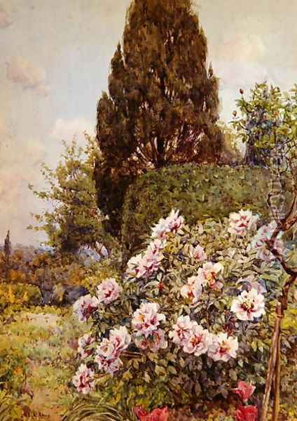 Peonies, Coddington, near Ledbury Oil Painting - Ernest Arthur Rowe
