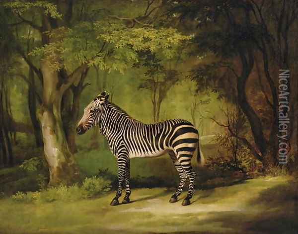 A Zebra, 1763 Oil Painting - George Stubbs