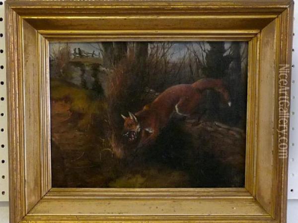 A Fox Leaping From A Wall Oil Painting - Philip Reinagle