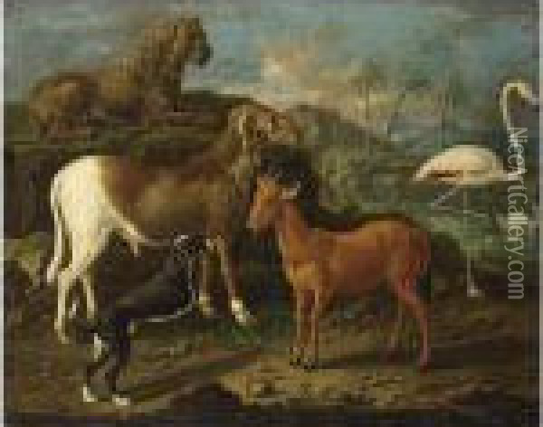 A Sheep, A Goat, A Lion, A Dog, A Flamingo And Ducks In A Landscape With Palm Trees Oil Painting - Johann Melchior Roos